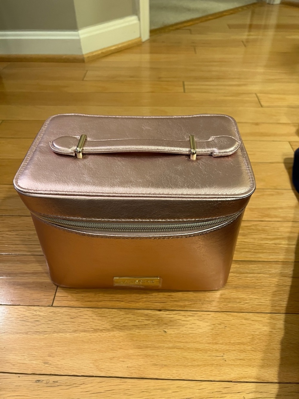 Lancôme Metallic Rose Travel Case NWOT